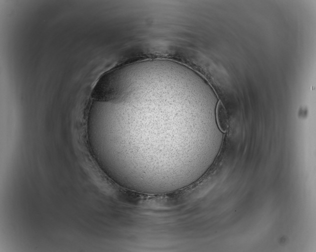 X0000102761201200808251020