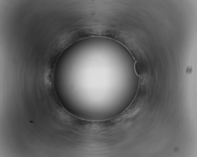 X0000102761202200808251020