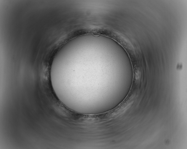 X0000102761204200808251020