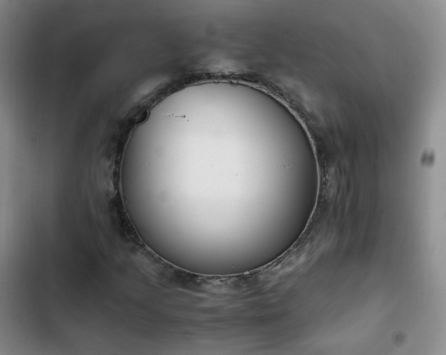 X0000102761205200808251020