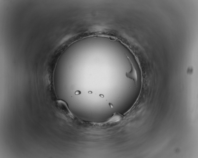 X0000102761206200808251020