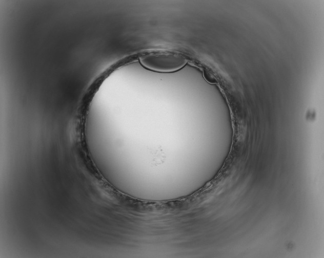 X0000102761208200808251020