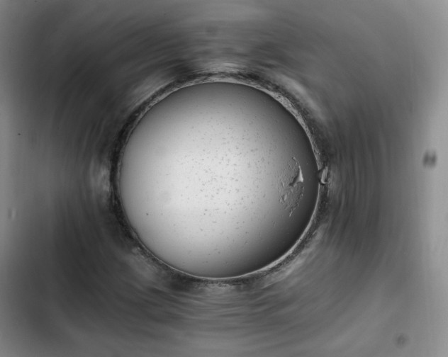 X0000102761209200808251020