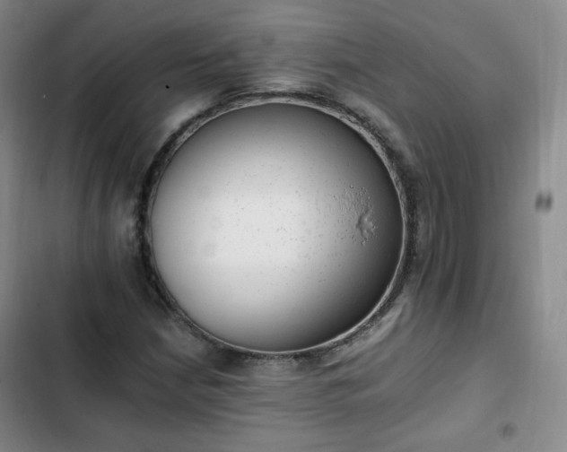 X0000102761210200808251020