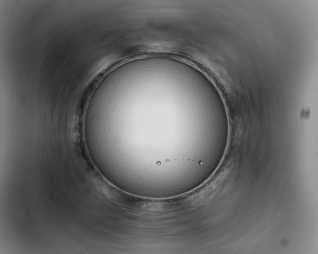 X0000102761211200808251020