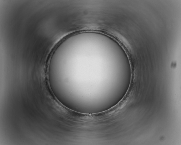 X0000102761212200808251020