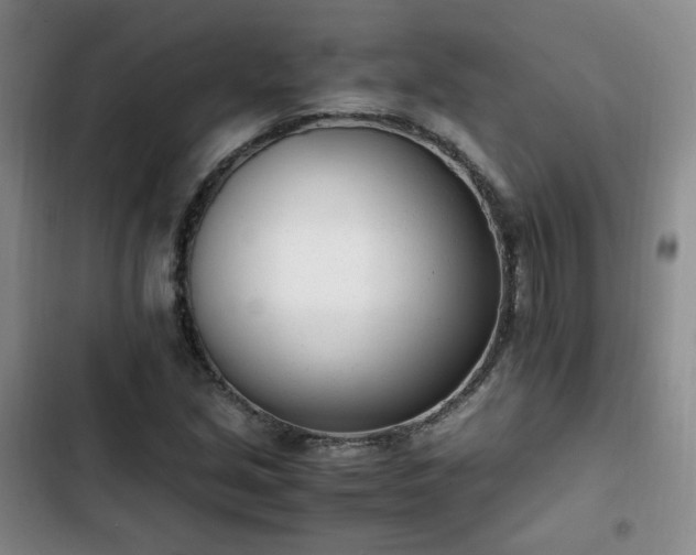 X0000102761213200808251020