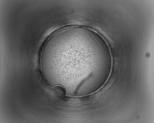 X0000102761215200808251020