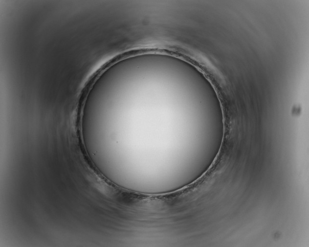 X0000102761216200808251020