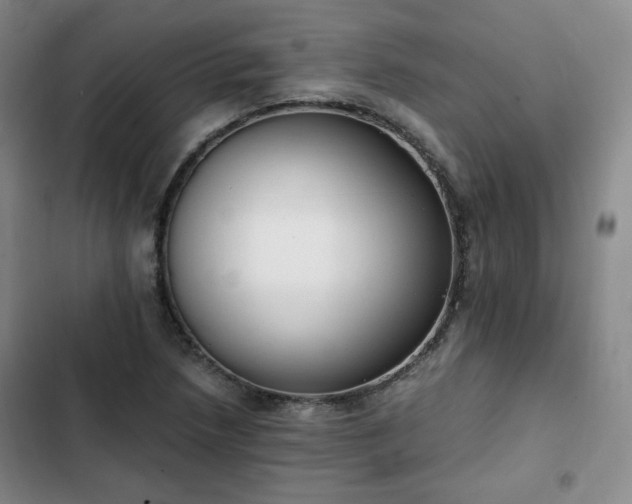 X0000102761218200808251020