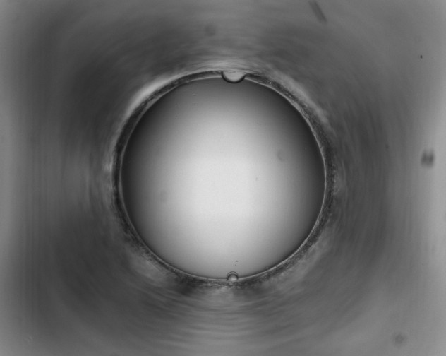 X0000102761222200808251020