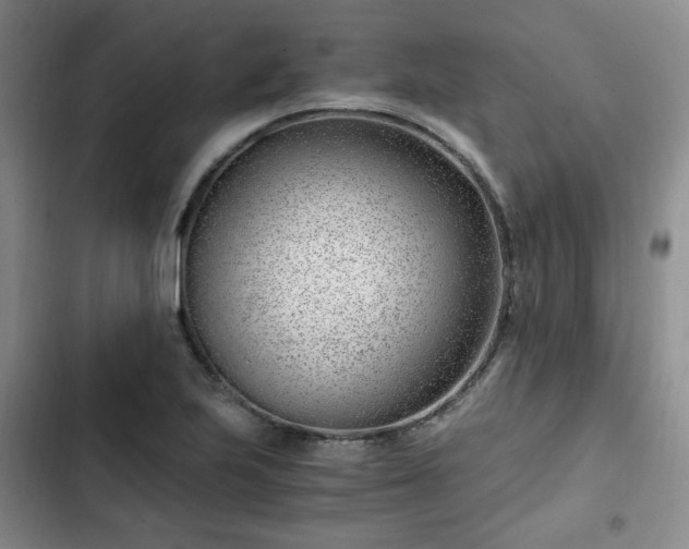 X0000102761223200808251020