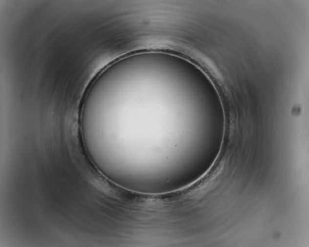 X0000102761226200808251020