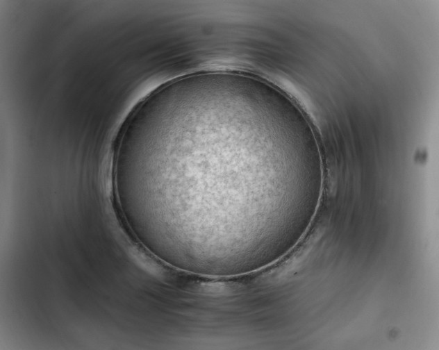 X0000102761227200808251020