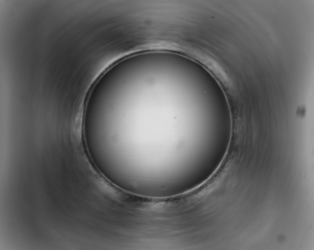 X0000102761228200808251020