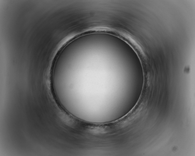 X0000102761229200808251021