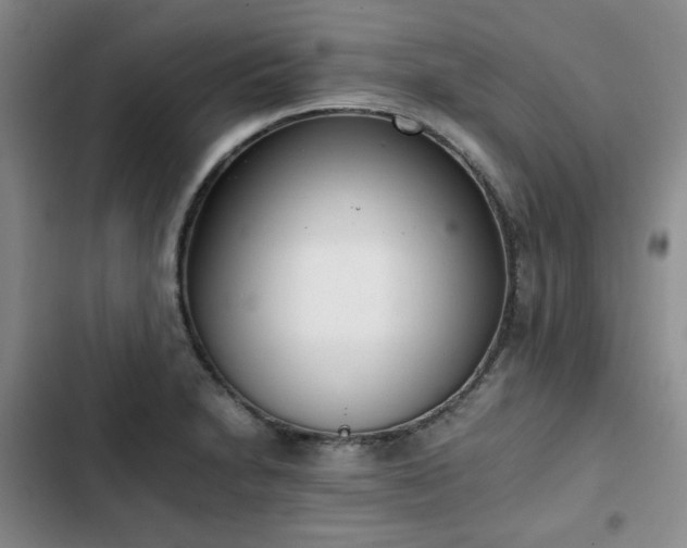 X0000102761230200808251021