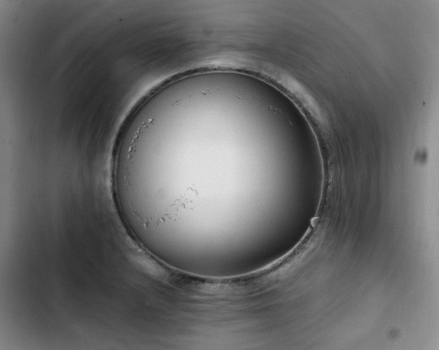 X0000102761232200808251021