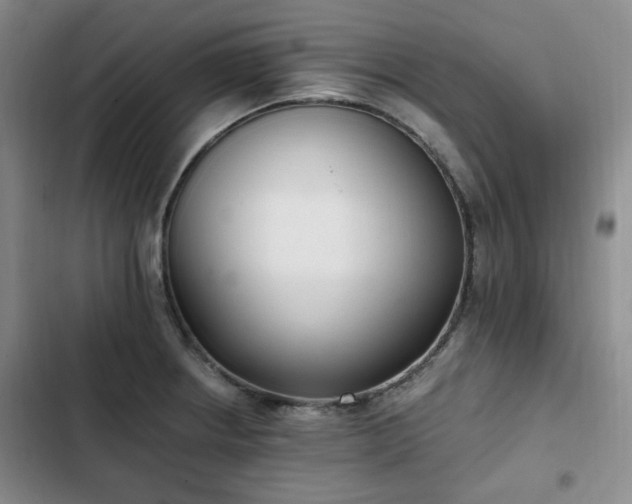 X0000102761234200808251021