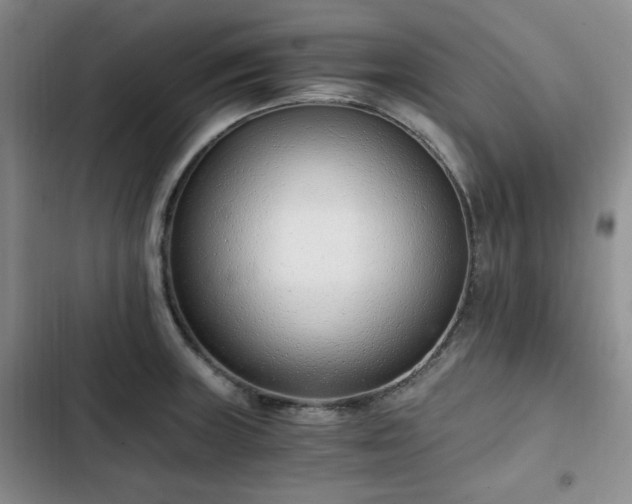 X0000102761235200808251021