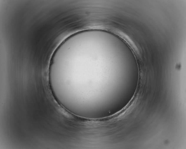 X0000102761236200808251021