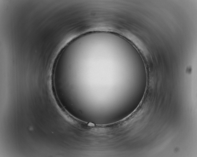 X0000102761237200808251021