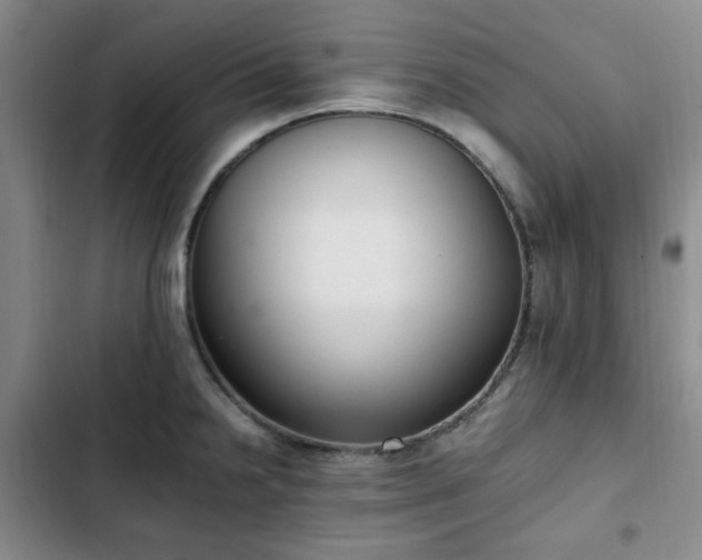 X0000102761238200808251021