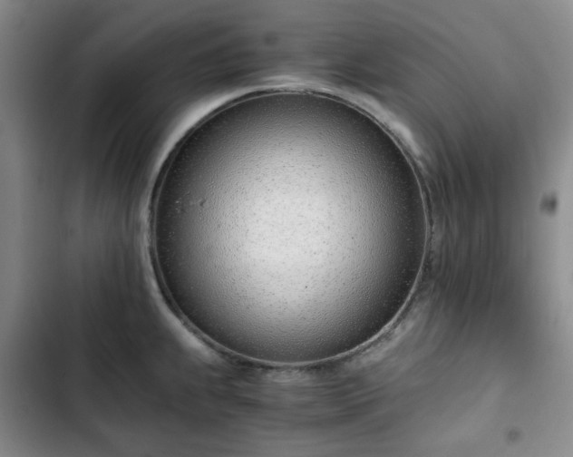 X0000102761239200808251021