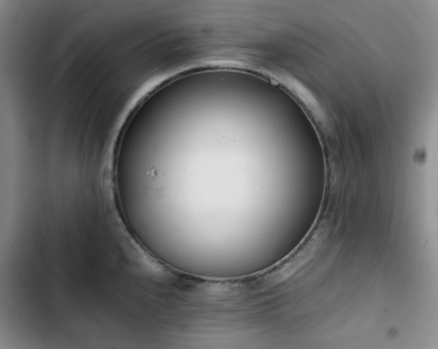 X0000102761240200808251021