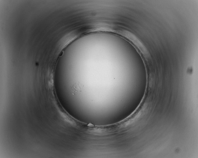 X0000102761241200808251021