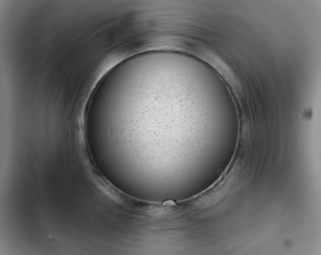 X0000102761242200808251021