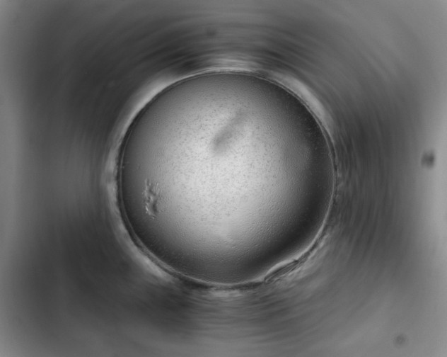 X0000102761243200808251021