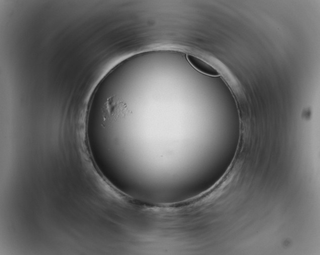 X0000102761244200808251021