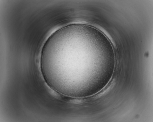 X0000102761245200808251021