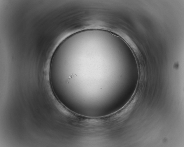 X0000102761246200808251021