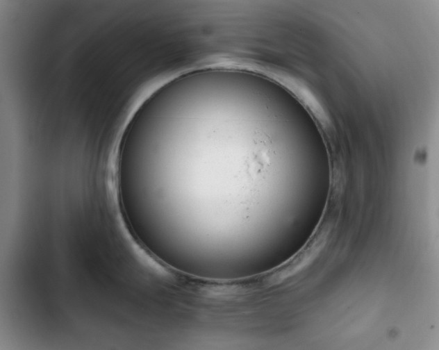 X0000102761247200808251021