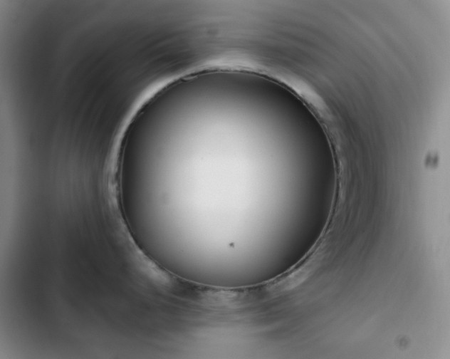 X0000102761248200808251021