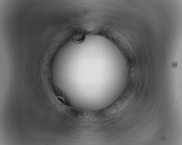 X0000102761249200808251020