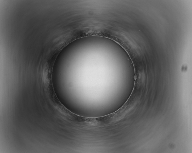 X0000102761250200808251020