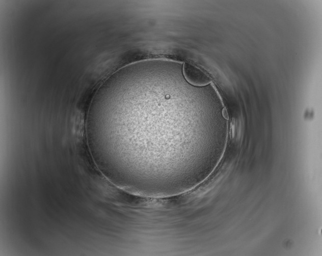 X0000102761251200808251020