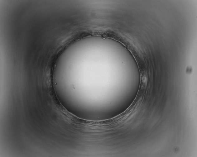 X0000102761252200808251020