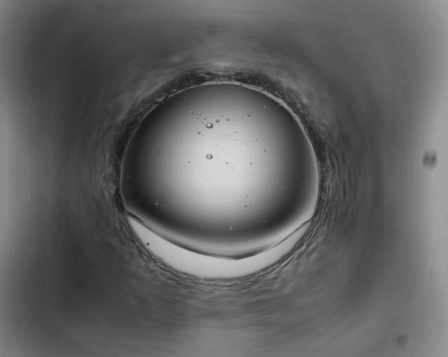 X0000102761253200808251020