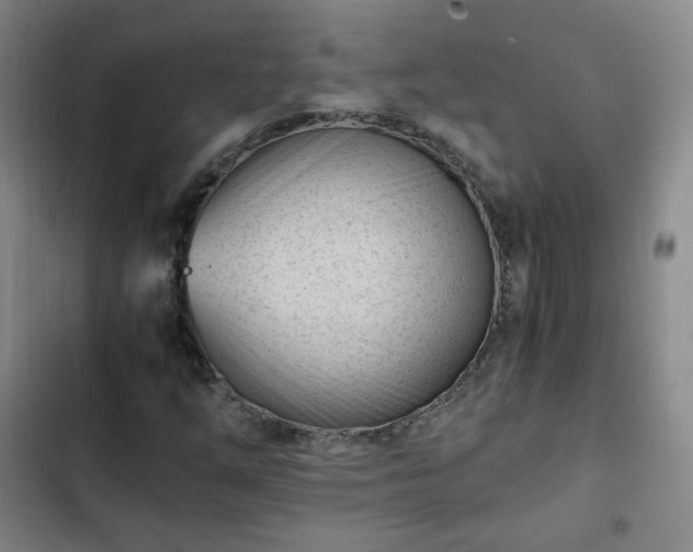 X0000102761254200808251020