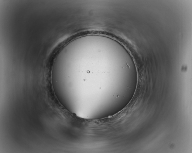 X0000102761255200808251020