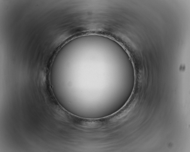 X0000102761257200808251020