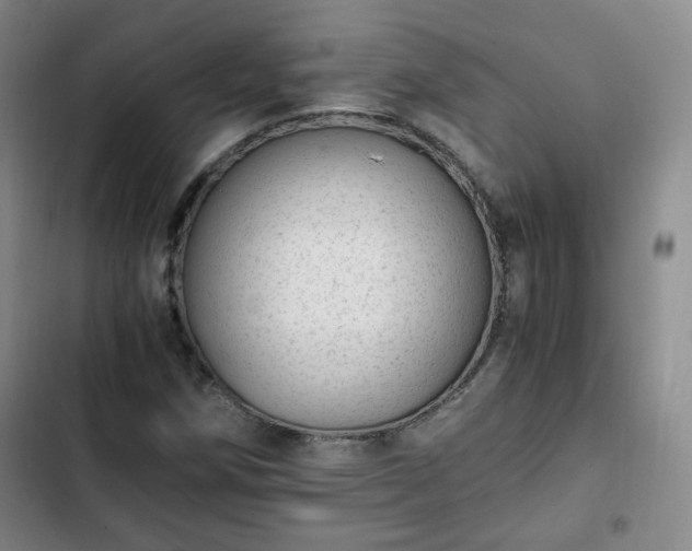 X0000102761258200808251020