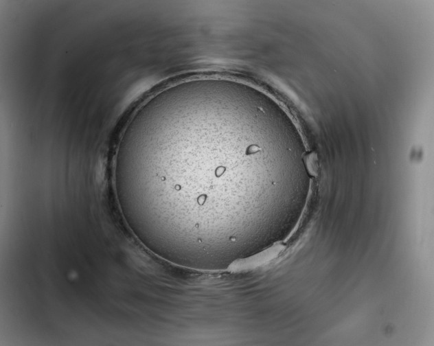 X0000102761259200808251020