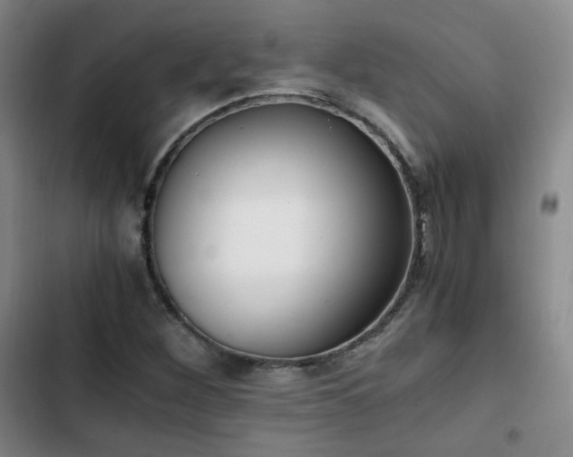 X0000102761260200808251020