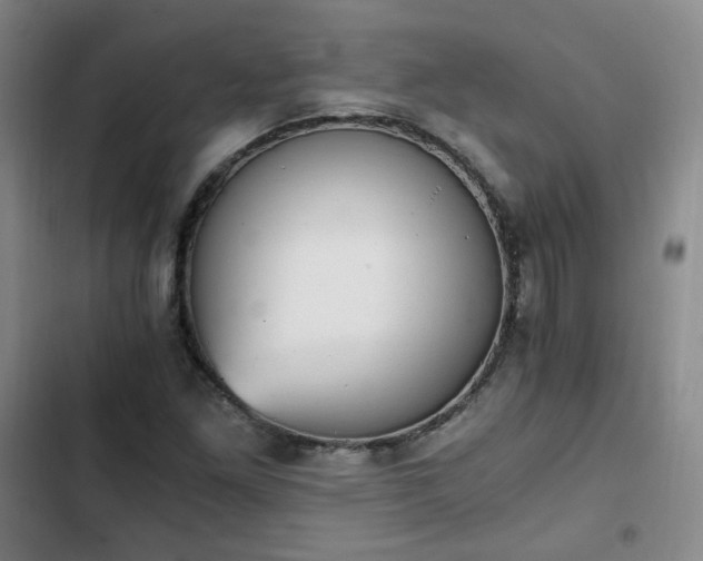 X0000102761261200808251020