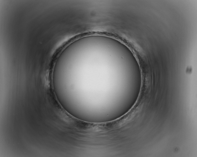 X0000102761262200808251020